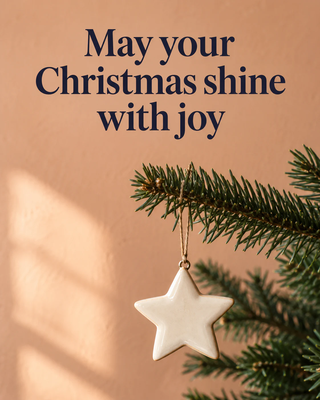 May your Christmas shine with joy