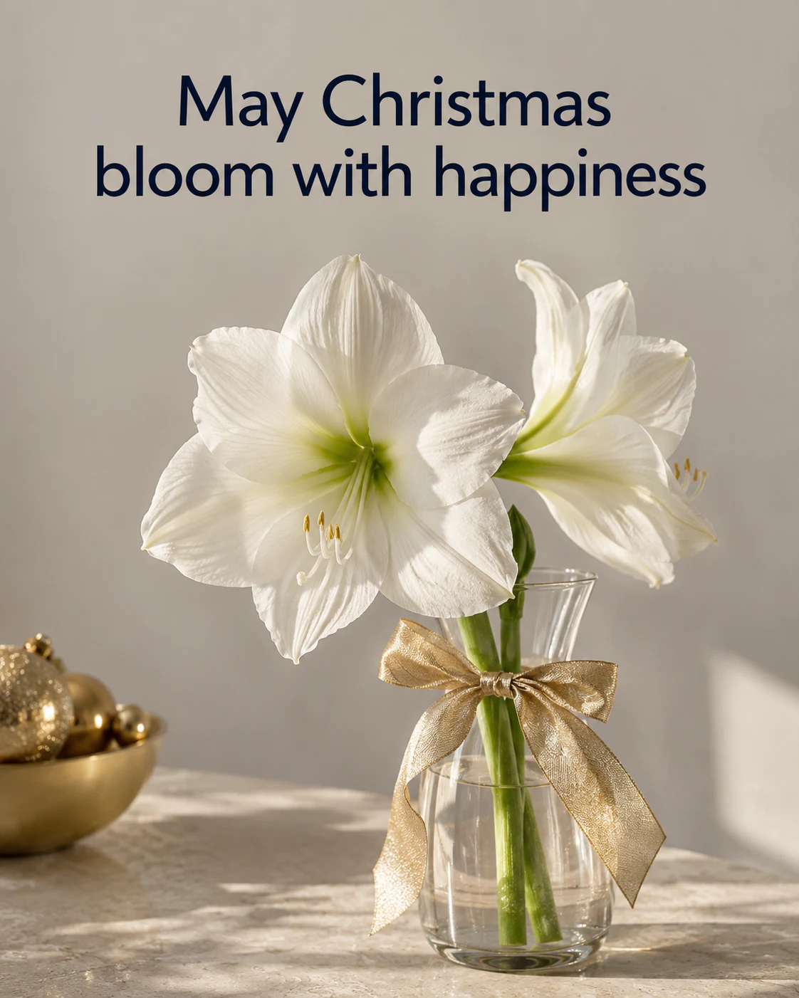 May Christmas bloom with happiness