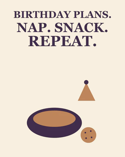 BIRTHDAY PLANS. NAP. SNACK. REPEAT.