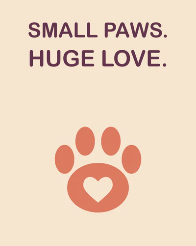 SMALL PAWS. HUGE LOVE.