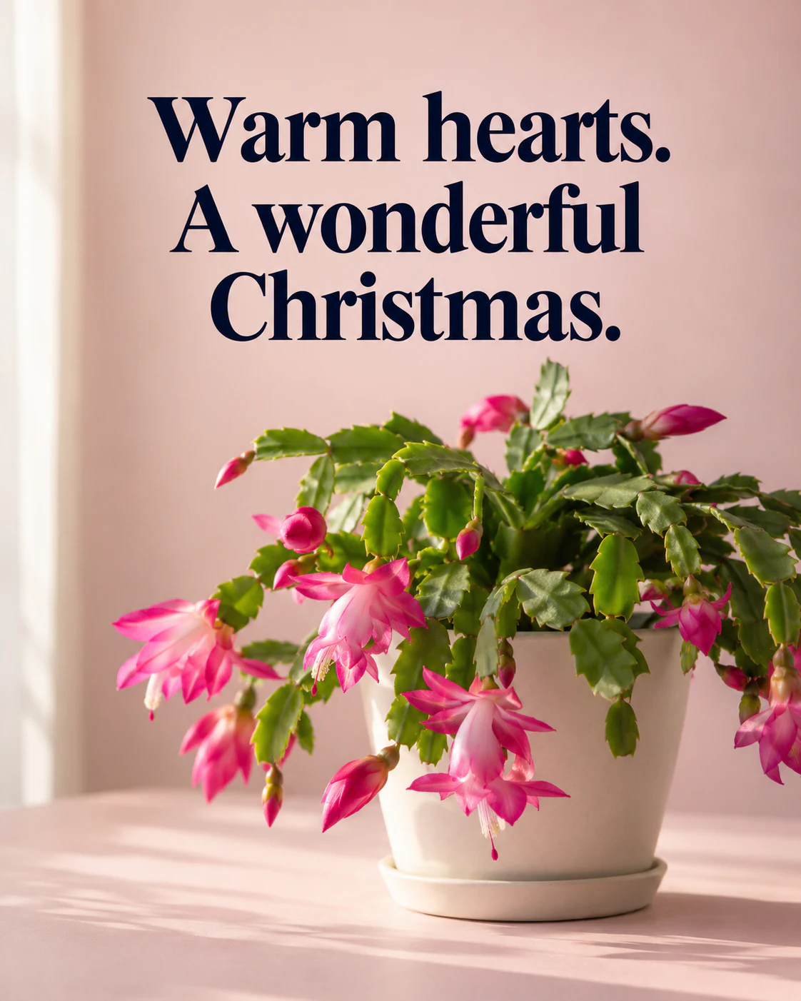 Warm hearts. A wonderful Christmas.